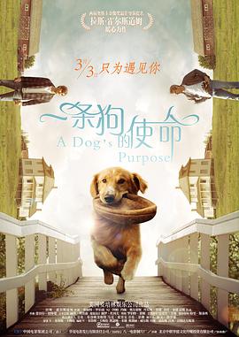 aa级片
